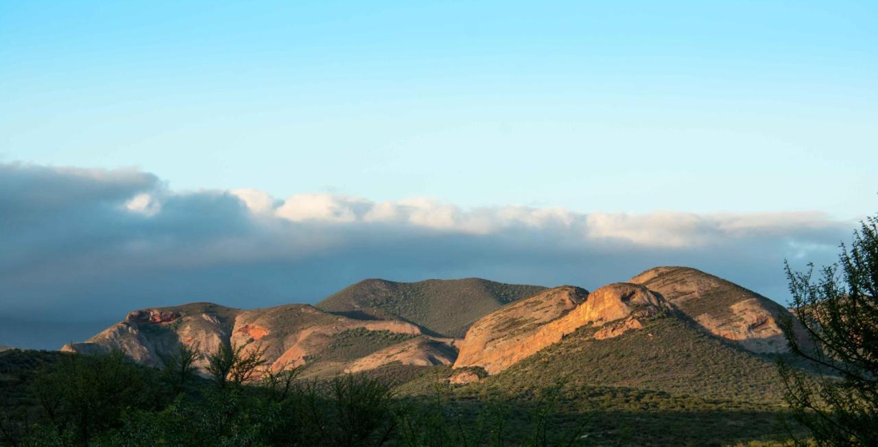 Thabile Lodge Oudtshoorn Bagian luar foto