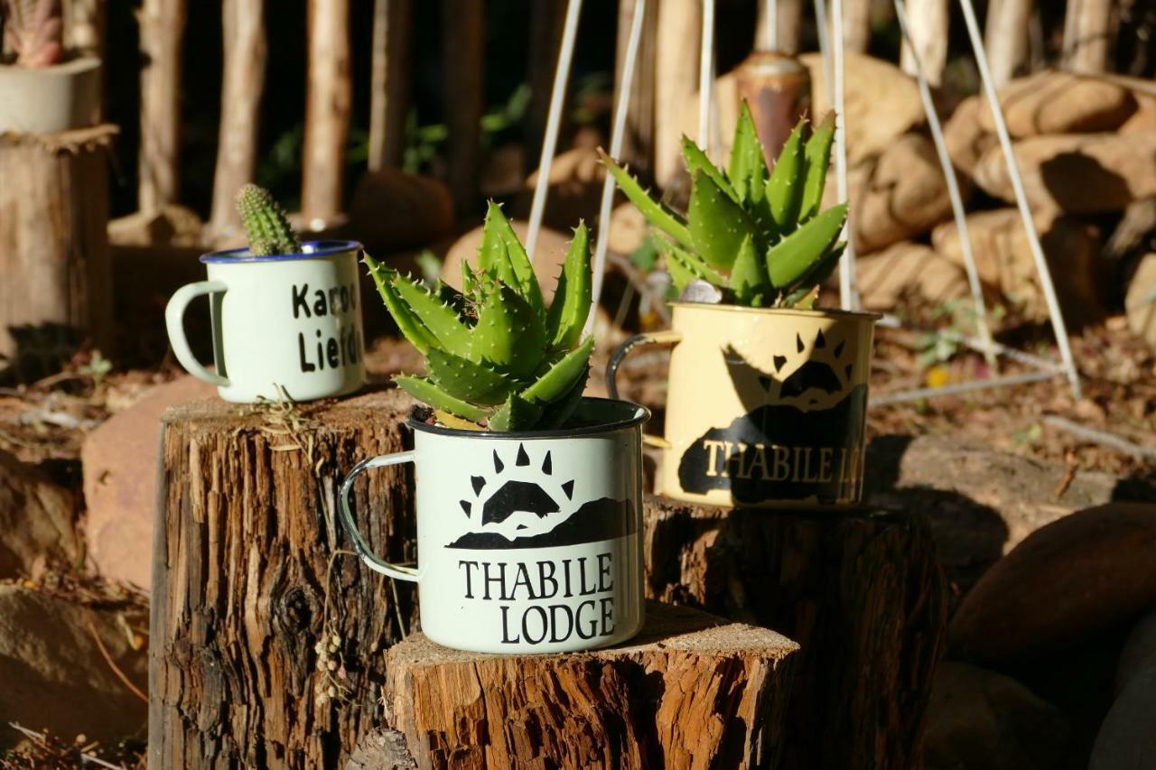 Thabile Lodge Oudtshoorn Bagian luar foto
