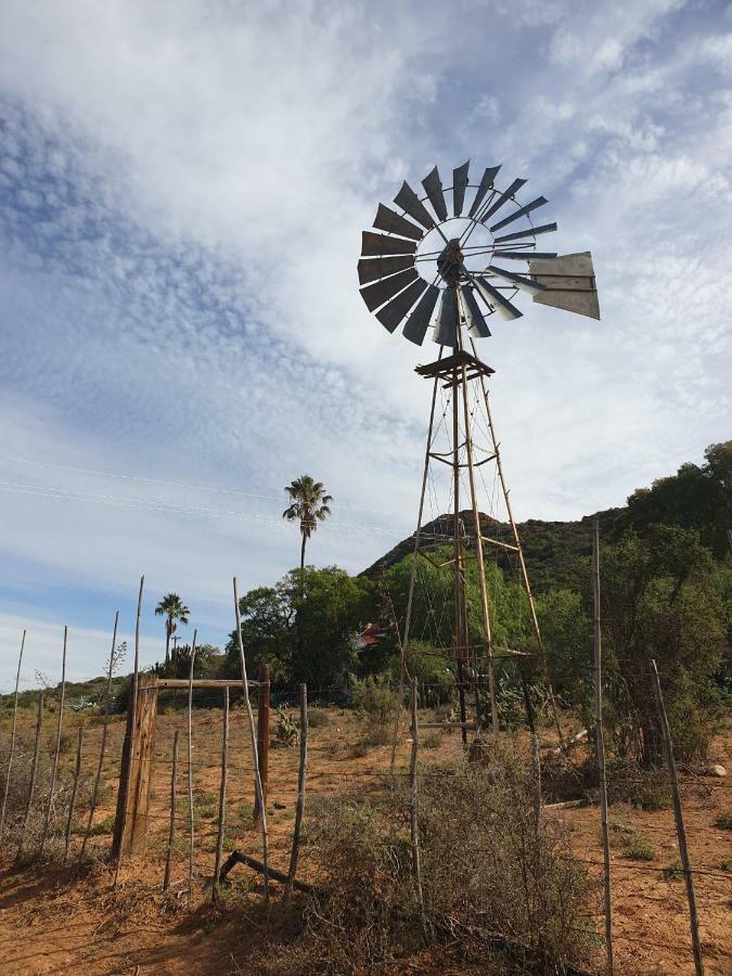 Thabile Lodge Oudtshoorn Bagian luar foto