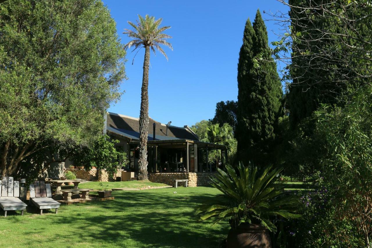 Thabile Lodge Oudtshoorn Bagian luar foto
