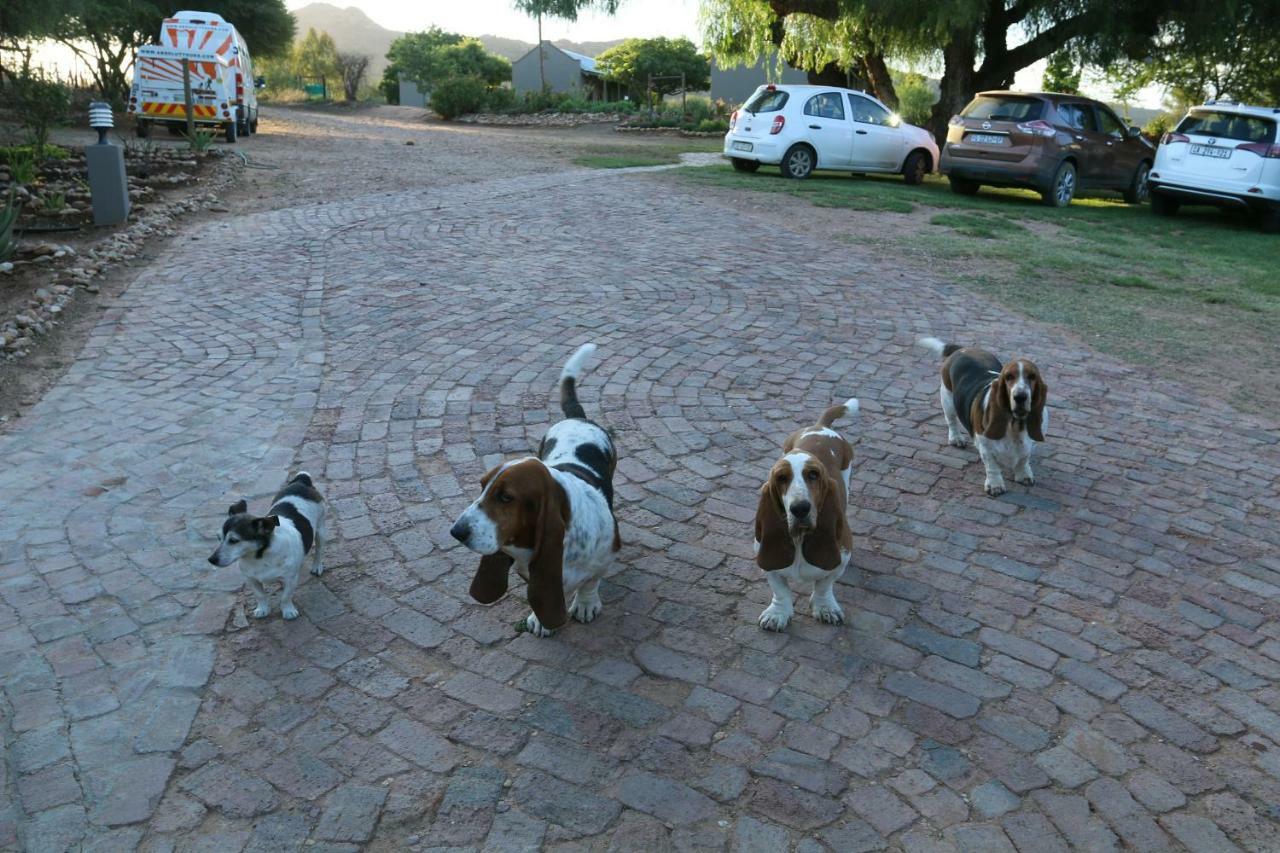Thabile Lodge Oudtshoorn Bagian luar foto